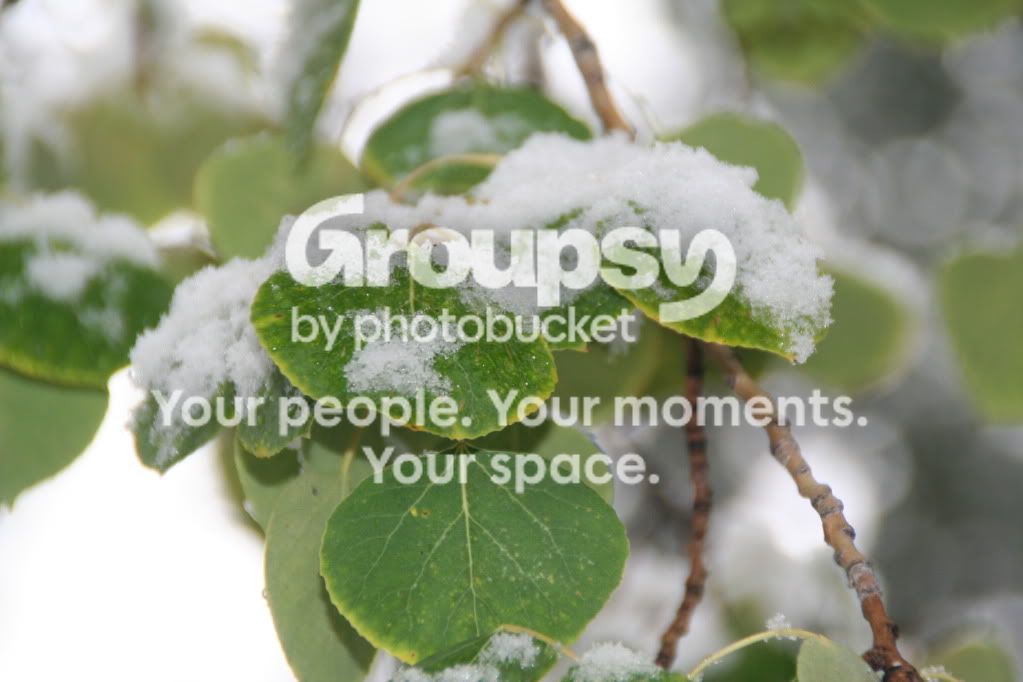 ImportedPhotos00022.jpg