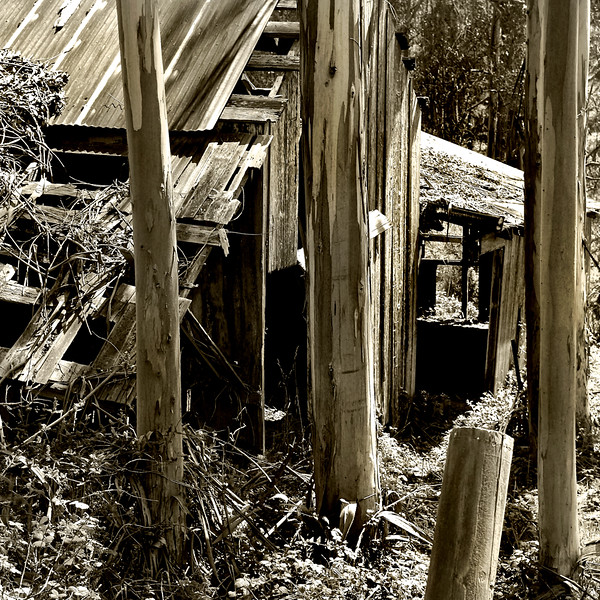 DSCF2494-L.jpg