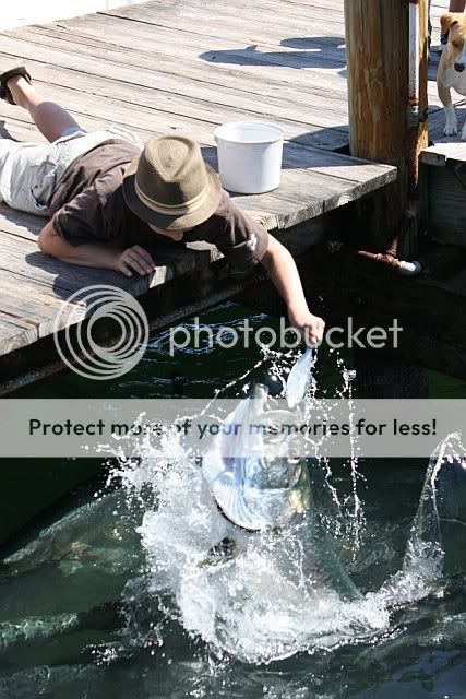 fish.jpg