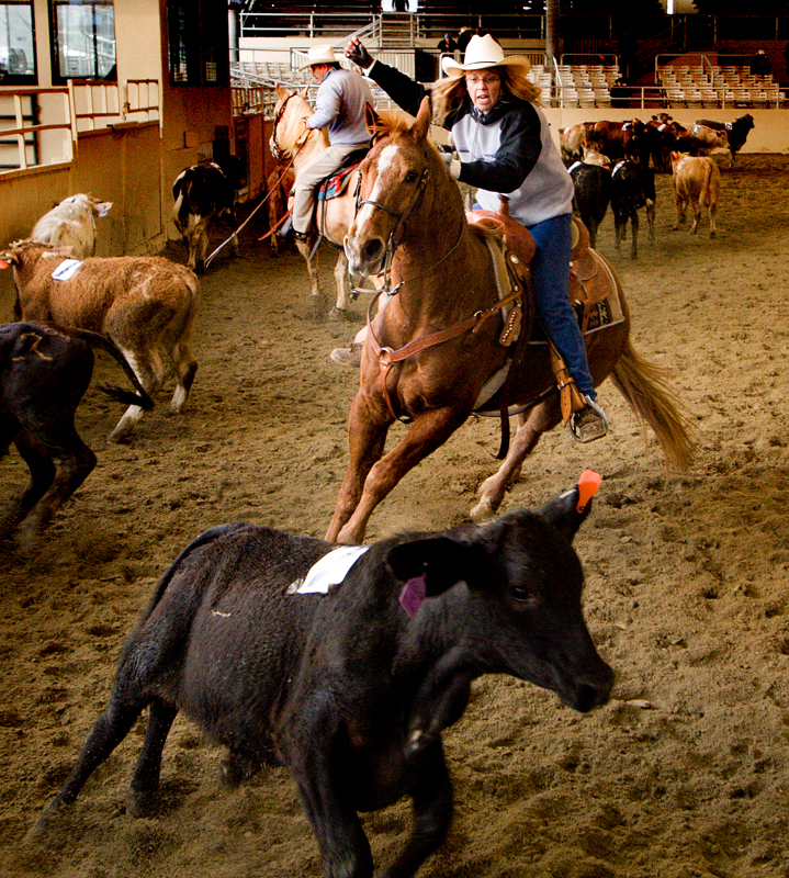 Penning%20-%2011-L.jpg