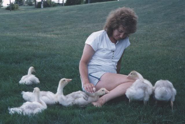 Mothergoose.jpg