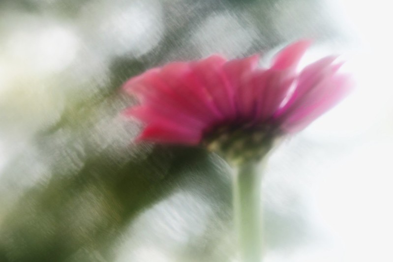 7517603998_5c295d07bf_c.jpg