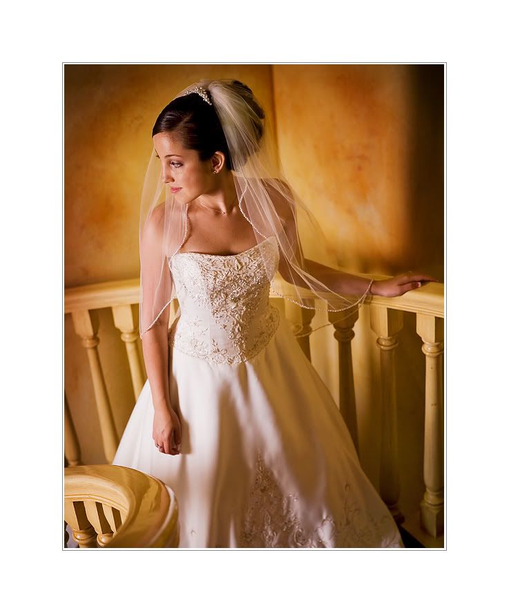 IMG_9369editsmbordered.jpg