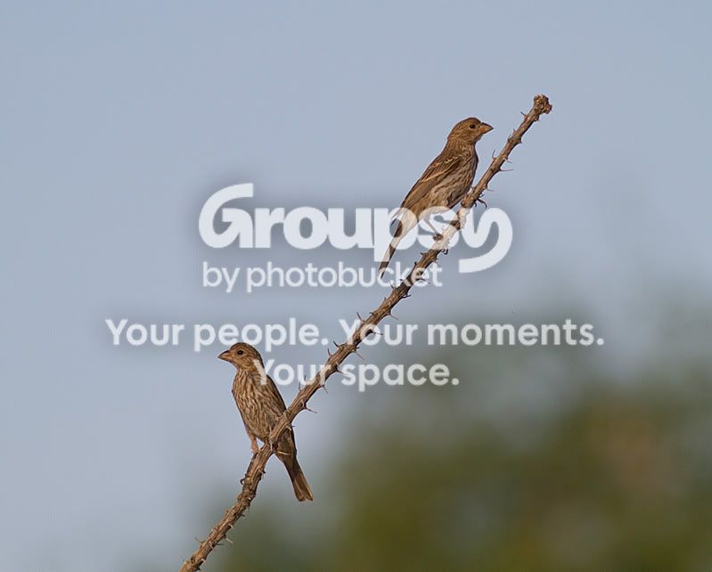 IMG_4291-Edit.jpg
