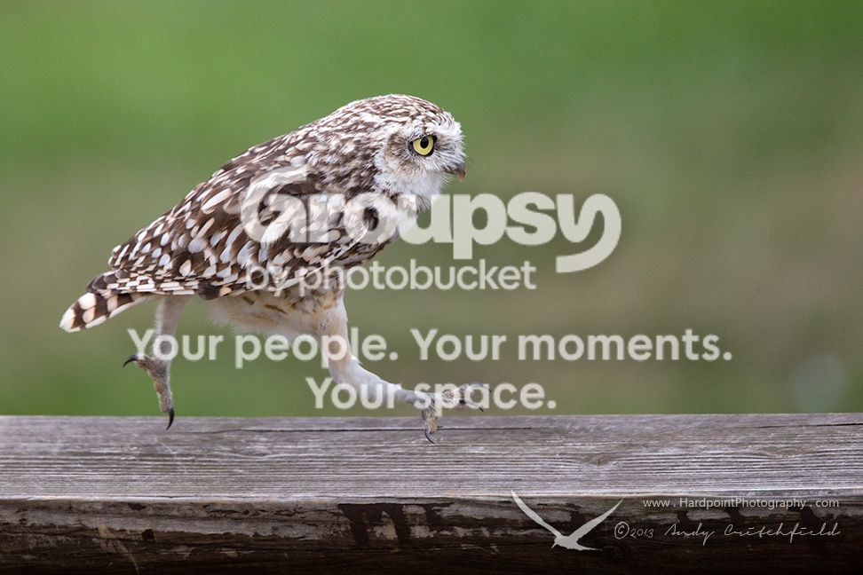 _HPP2923_zps90b0cd60.jpg