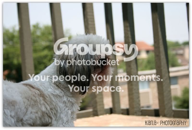 canon255999.jpg