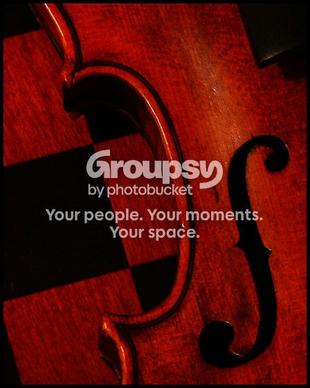 violin234.jpg