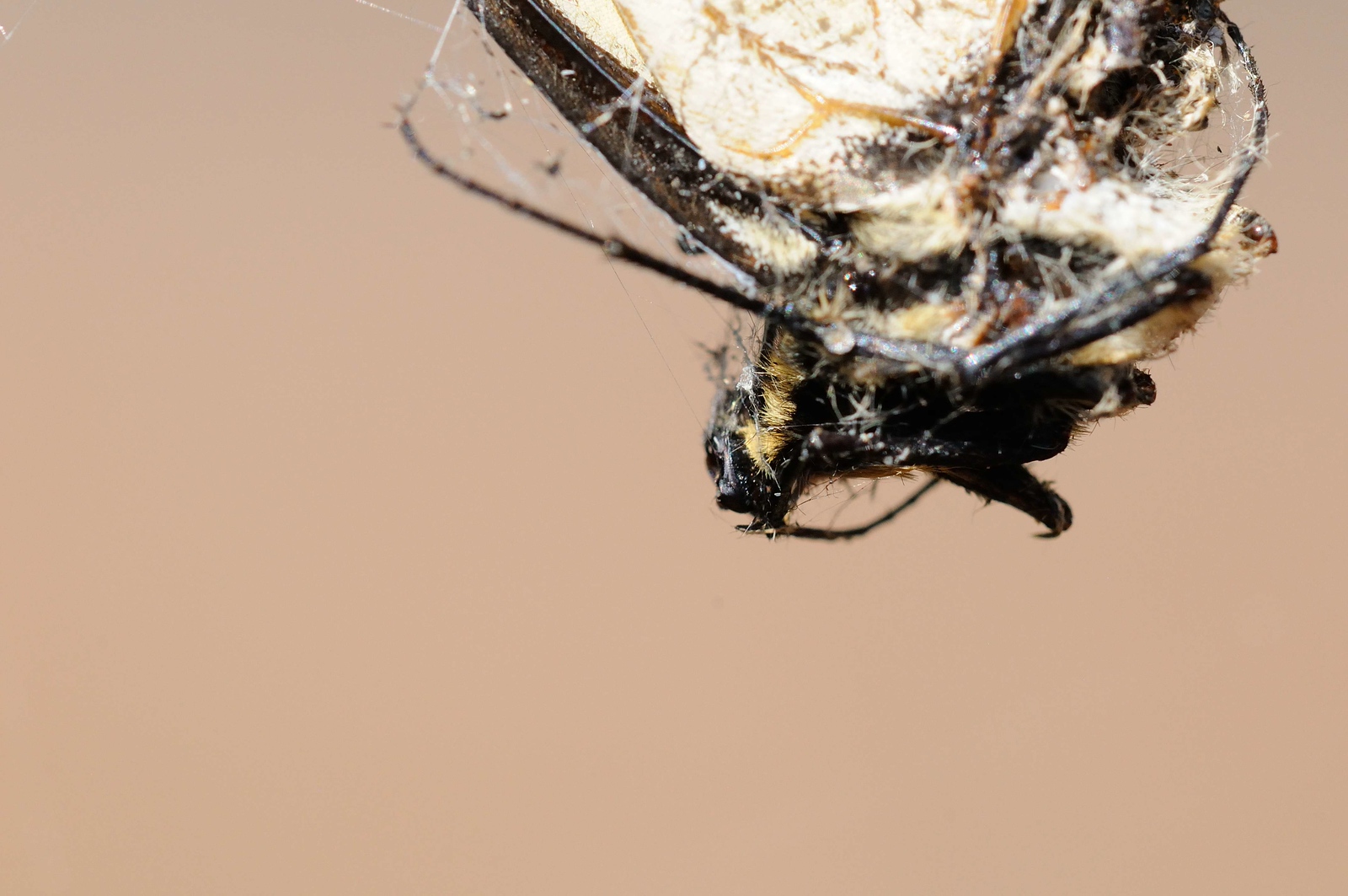 DSC_00076-X3.jpg
