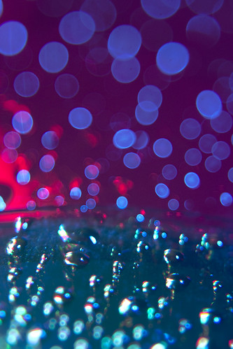 3641990777_44c1d6a9e3.jpg