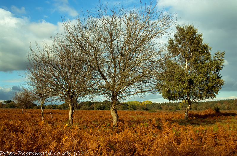 101003_P_SLID033.jpg
