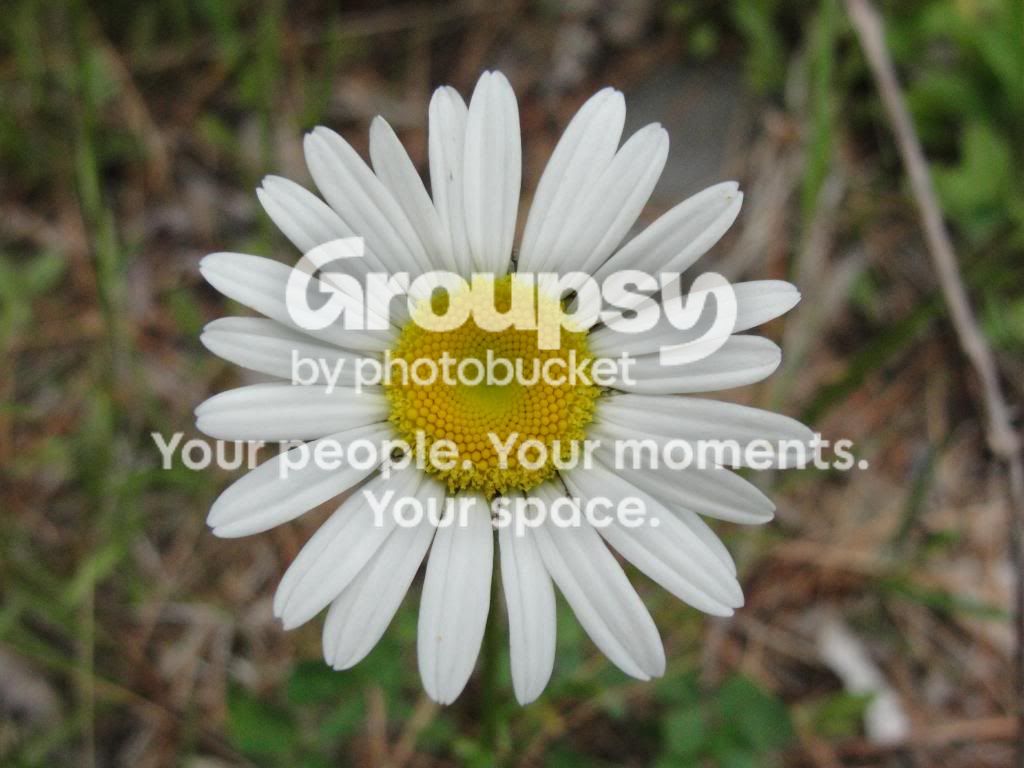 rissasphotos028.jpg