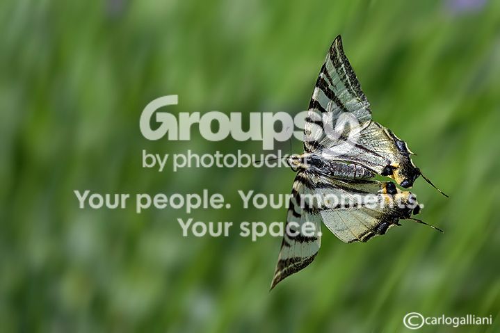 156400869_k5S50ne6_ABD_12641.jpg