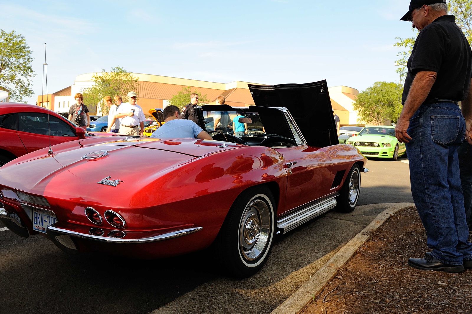 DSC_00138-X3.jpg
