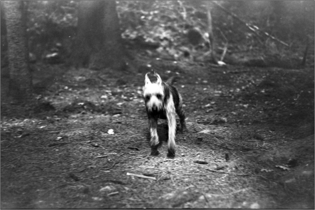 scan406-XL.jpg