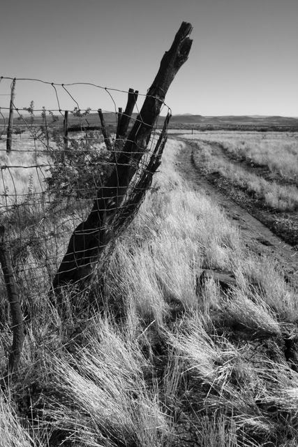 Fencepost-1.jpg