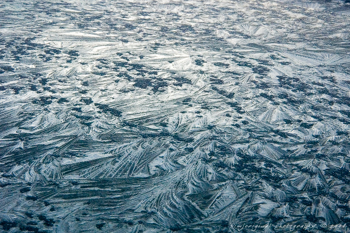 frost080106_03.jpg