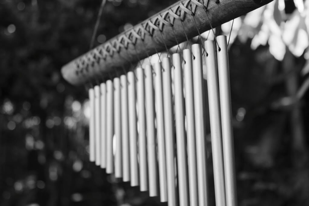IMG_7875w.jpg