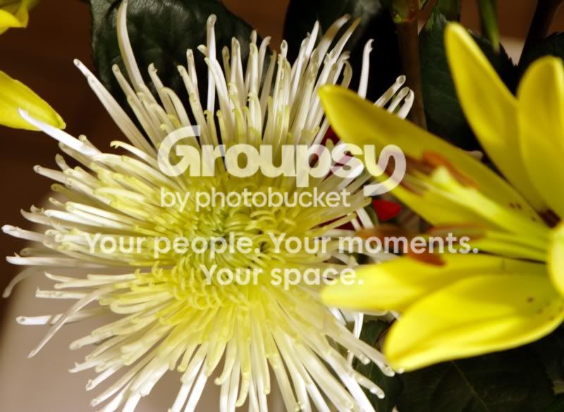 flower2.jpg