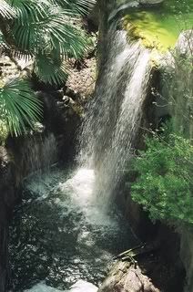 54970016.jpg