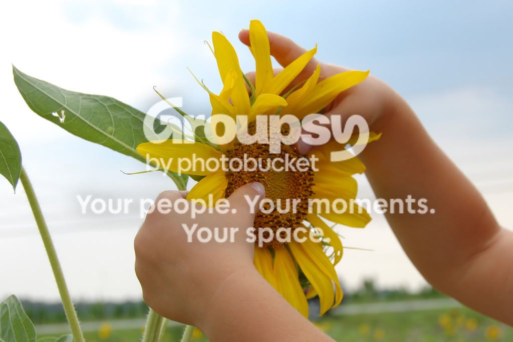 handsonsunflower.jpg