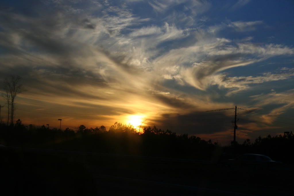 IMG_0076.jpg
