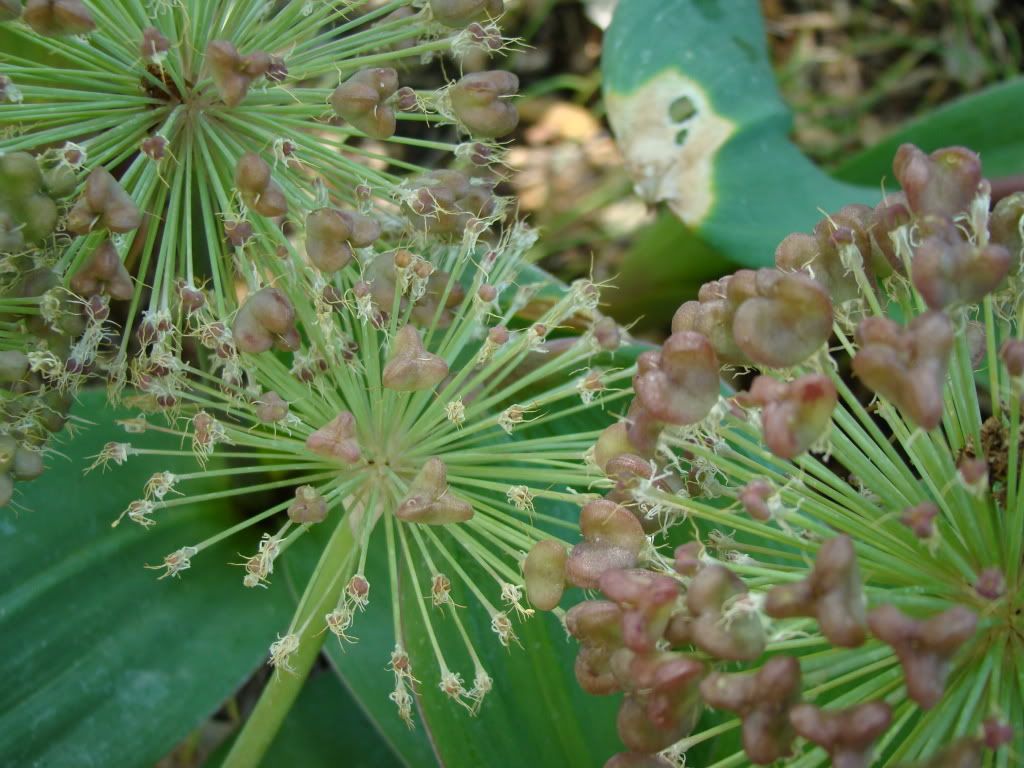 DSC01505.jpg