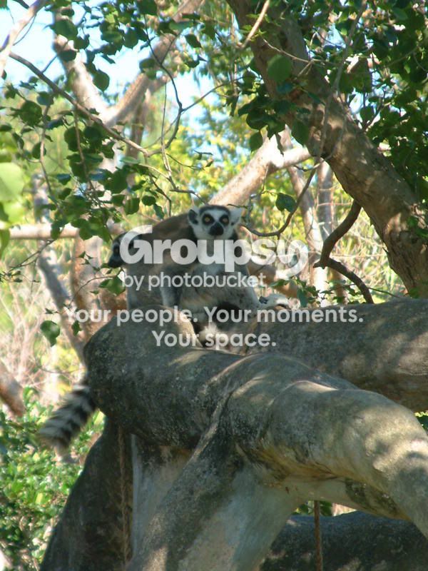 DSCF2609.jpg