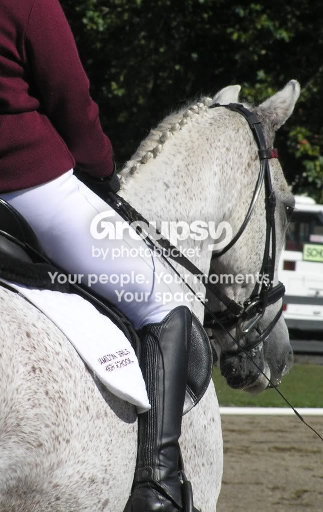 Dressage049.jpg