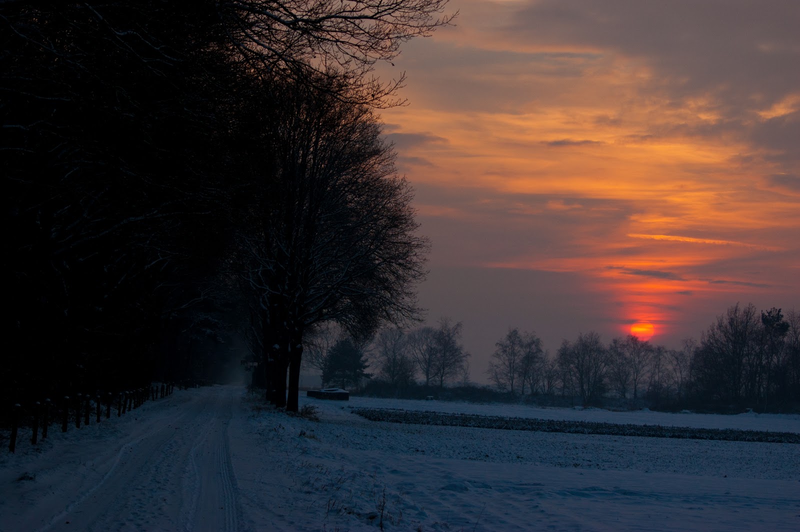 DSC_9220-1.jpg