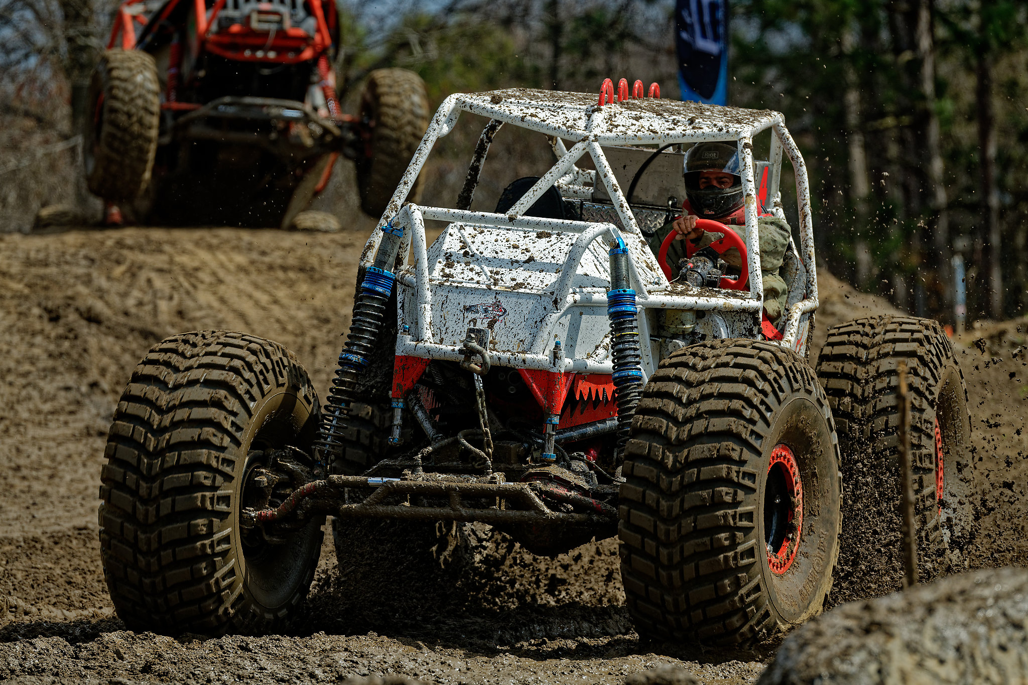 D85_3498_DxO.jpg