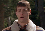 121996485235.gif
