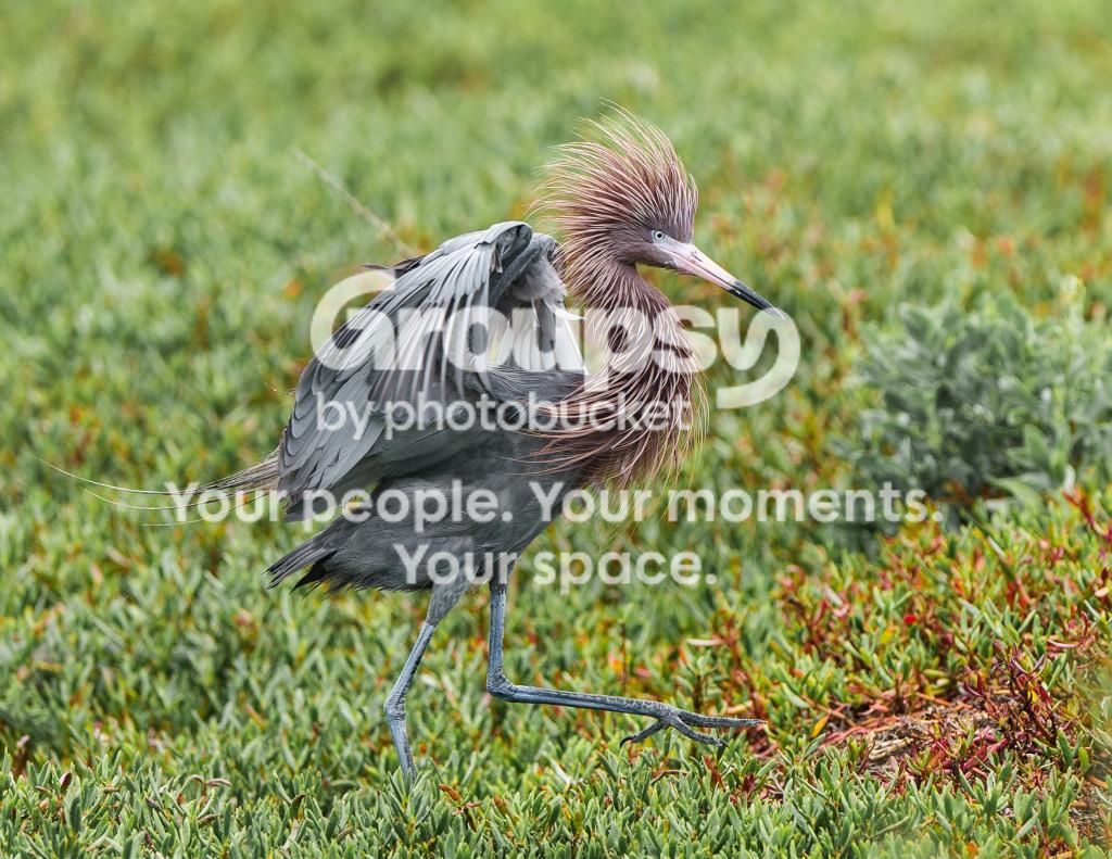 image_zps7ff7b673.jpg