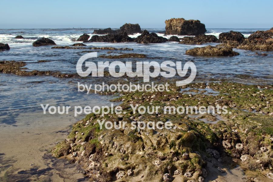 beach4web.jpg