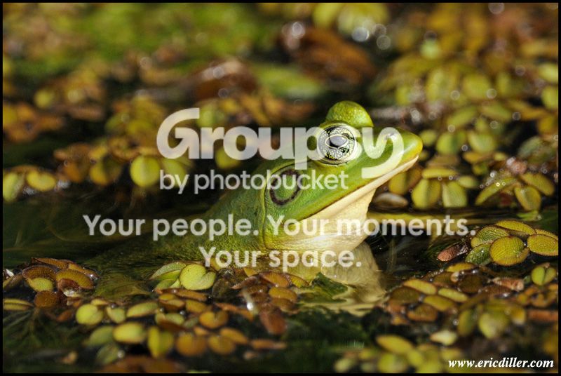 PIC_7842copy.jpg