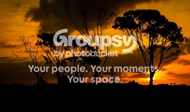 sunset_zpsd6d7e23a.jpg