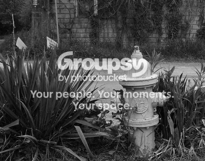 fireplug8LRBW.jpg