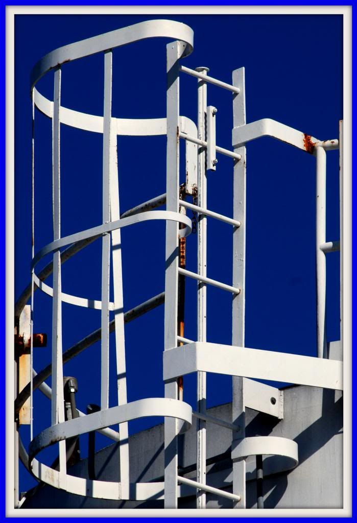 LADDERONTANK_zps694952ec.jpg