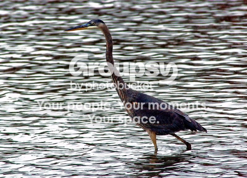 websize001DSC_0082edit.jpg