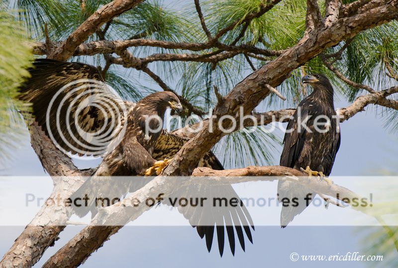 _ECD1058-copy800.jpg