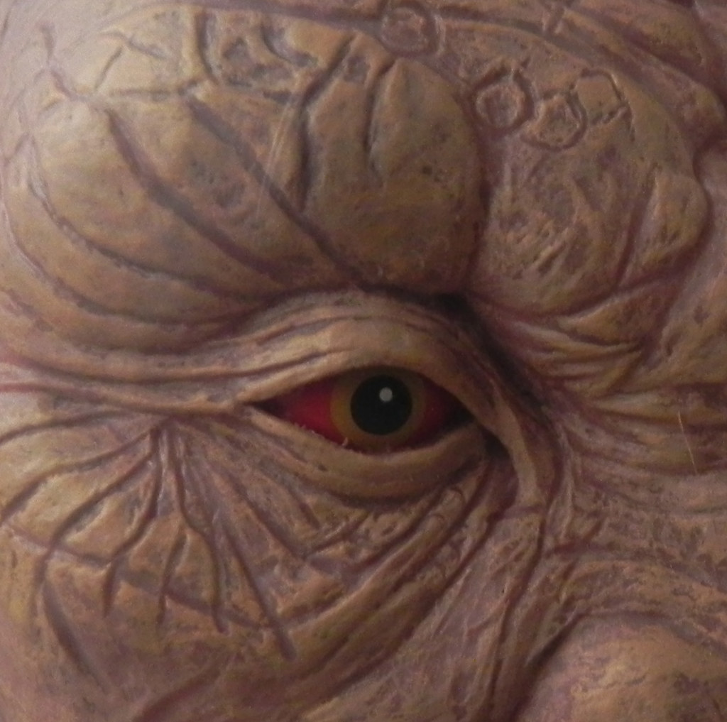 5410752348_6e941f6acb_b.jpg