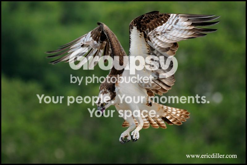 PIC_6554_Copycopy.jpg