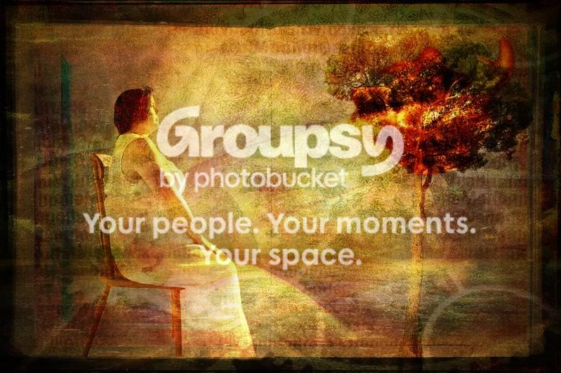 burningbush-1.jpg