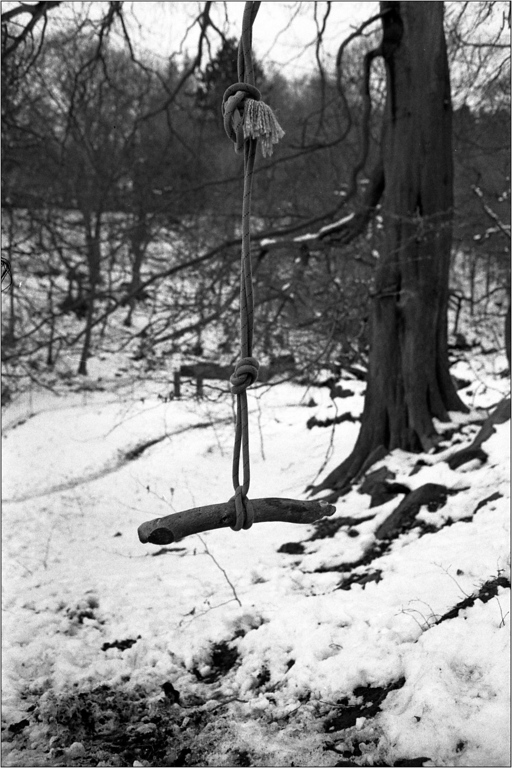 scan389-XL.jpg