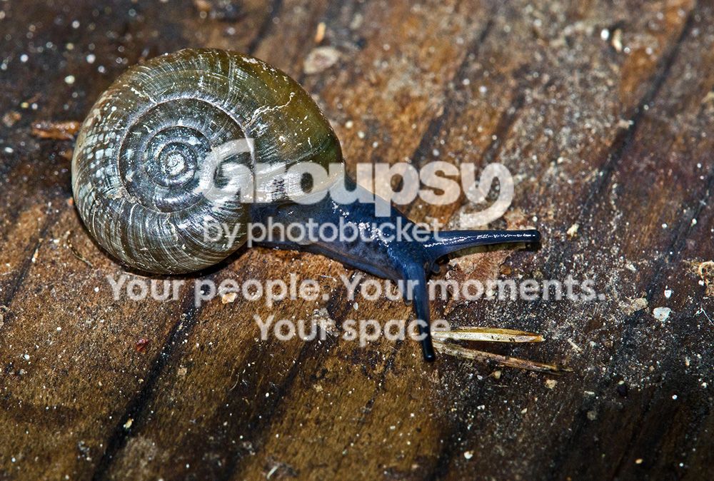 025copy.jpg