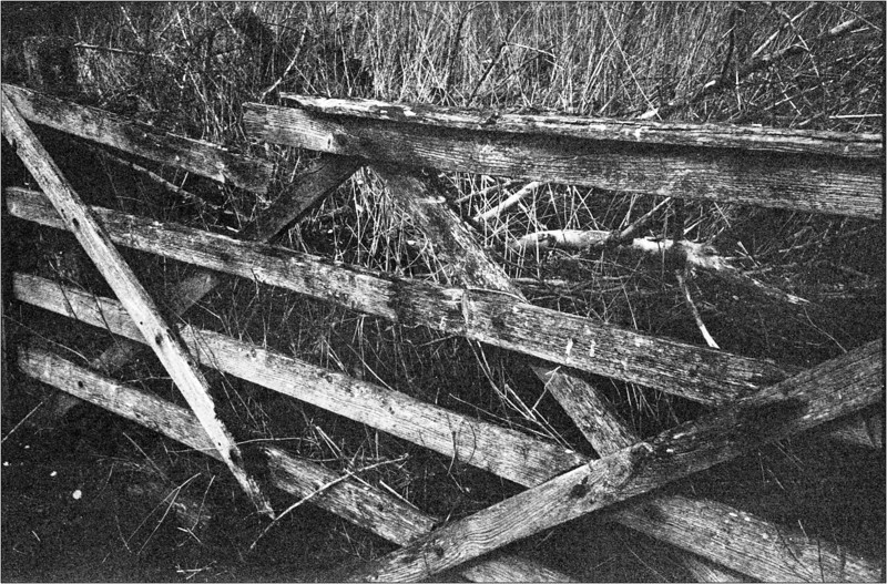 scan481-L.jpg