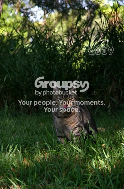 IMG_5656ccopy.jpg