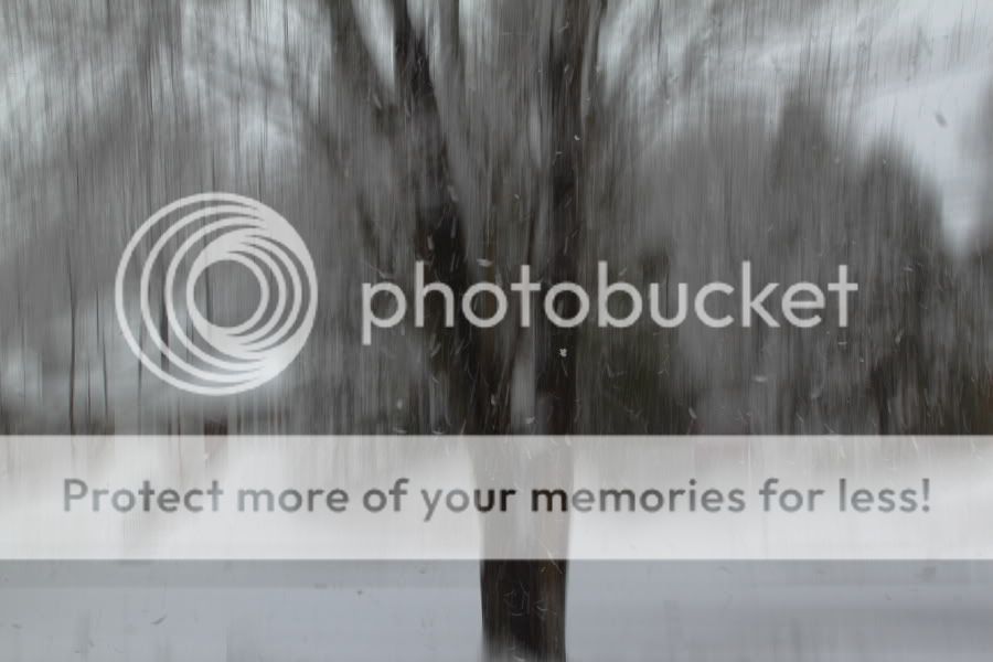 Snowsquall_8144.jpg