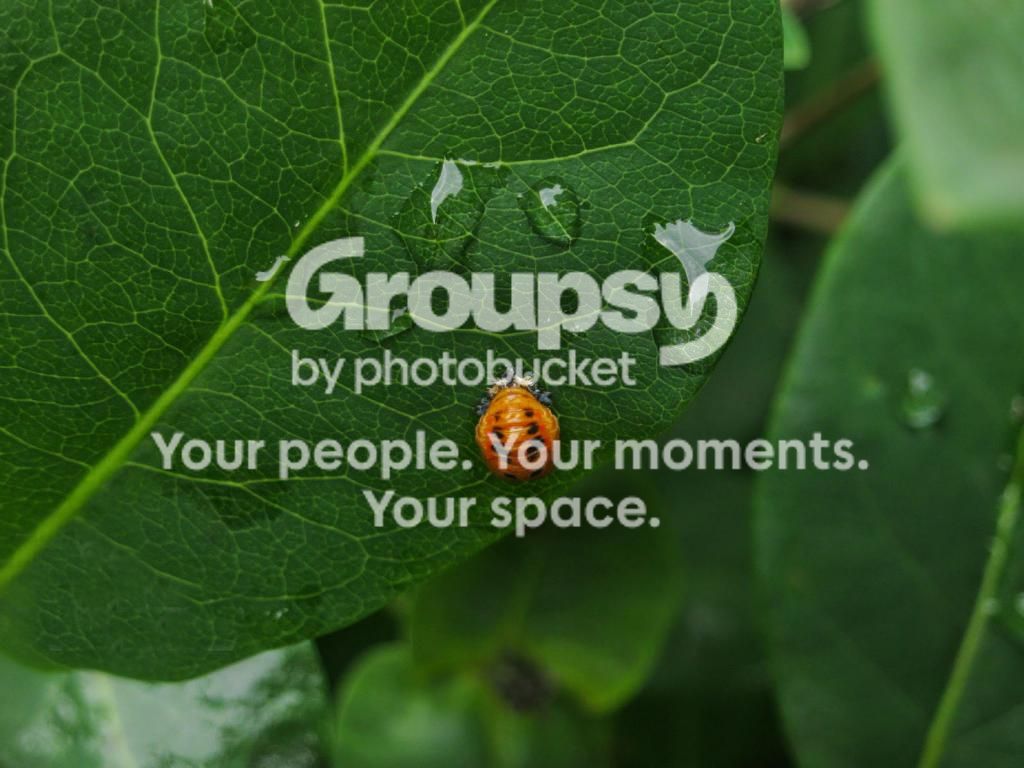 elispictures015EDIT.jpg