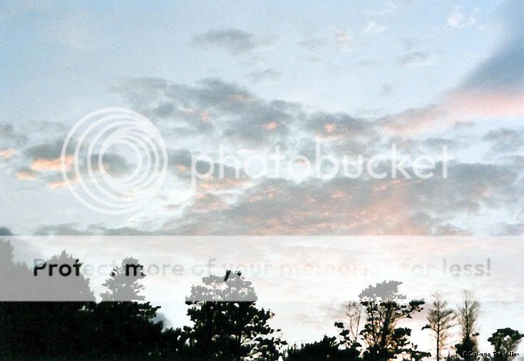 Themes_Sky_Irl4.jpg