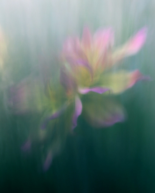 7982407168_309e964ce5_z.jpg